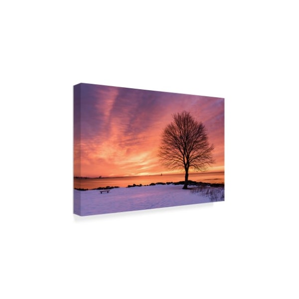 Michael Blanchette Photography 'Come Alive' Canvas Art,22x32